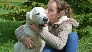 How To Tell Your Dog You Love Them In Their Own Language