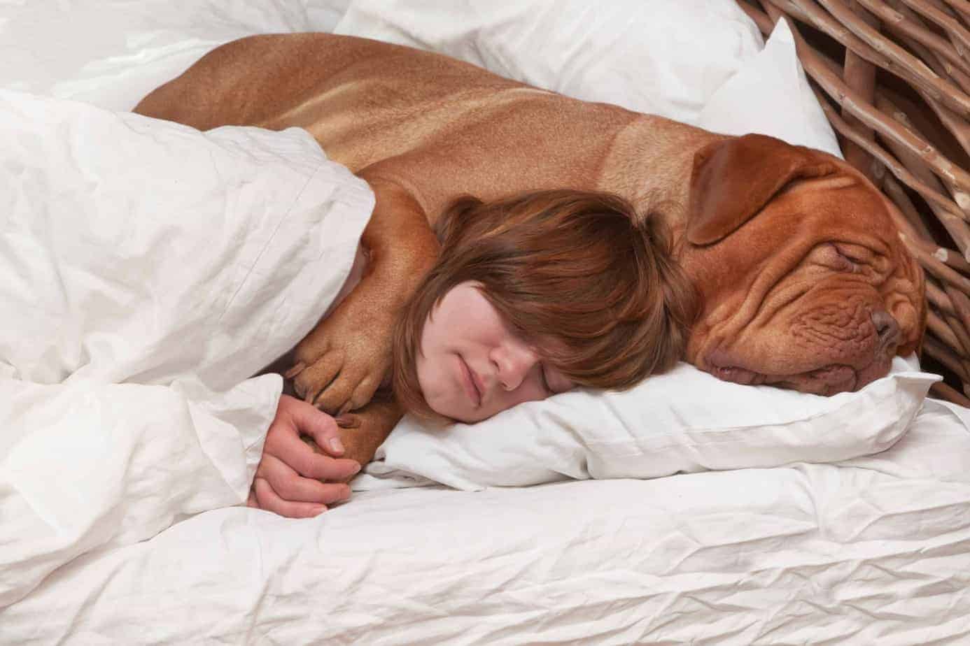 7 Amazing Reasons Why Your Dog Should Sleep In Your Bed At