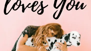 Signs that your dog loves you