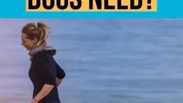 How Much Exercise Does a Dog Need Every Day