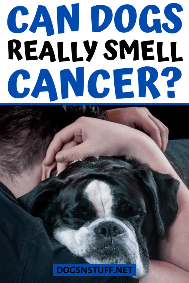 Can Dogs Smell Cancer? – Dogs 'N Stuff