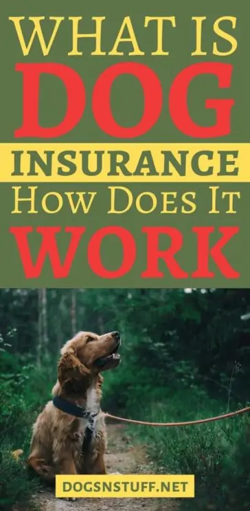 Dog Insurance Benefits