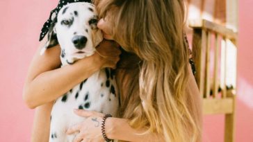 5 Simple Tips to Save Money on Dog Vet Bills