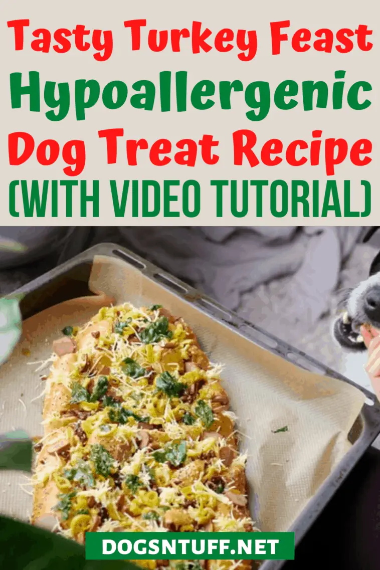 Tasty Leftover Turkey Dog Treats Recipe – Dogs 'N Stuff