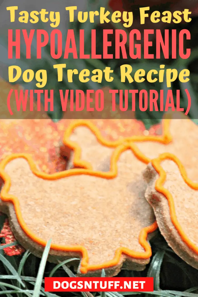 Tasty Leftover Turkey Dog Treats Recipe Dogs 'N Stuff