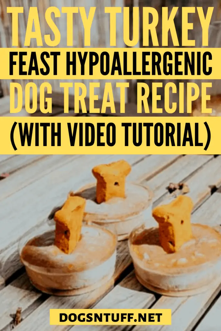 Tasty Leftover Turkey Dog Treats Recipe Dogs 'N Stuff