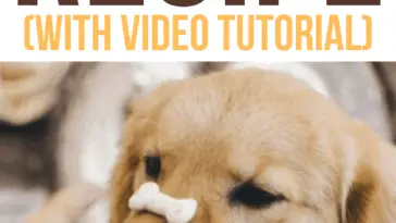 Easy Homemade Hypoallergenic Dog Treats Recipe