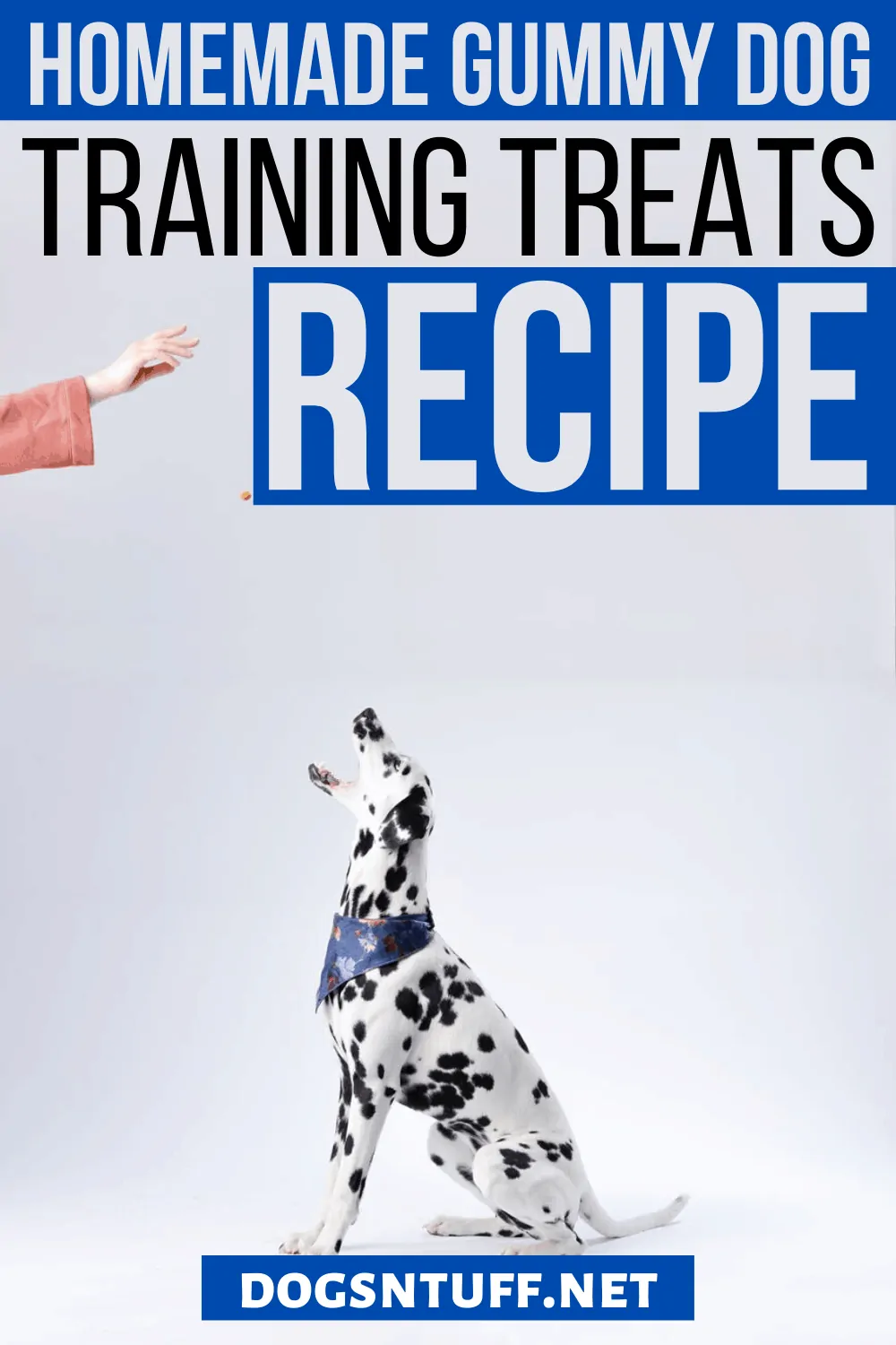 Homemade Tuna Gummy Dog Treats ingredients