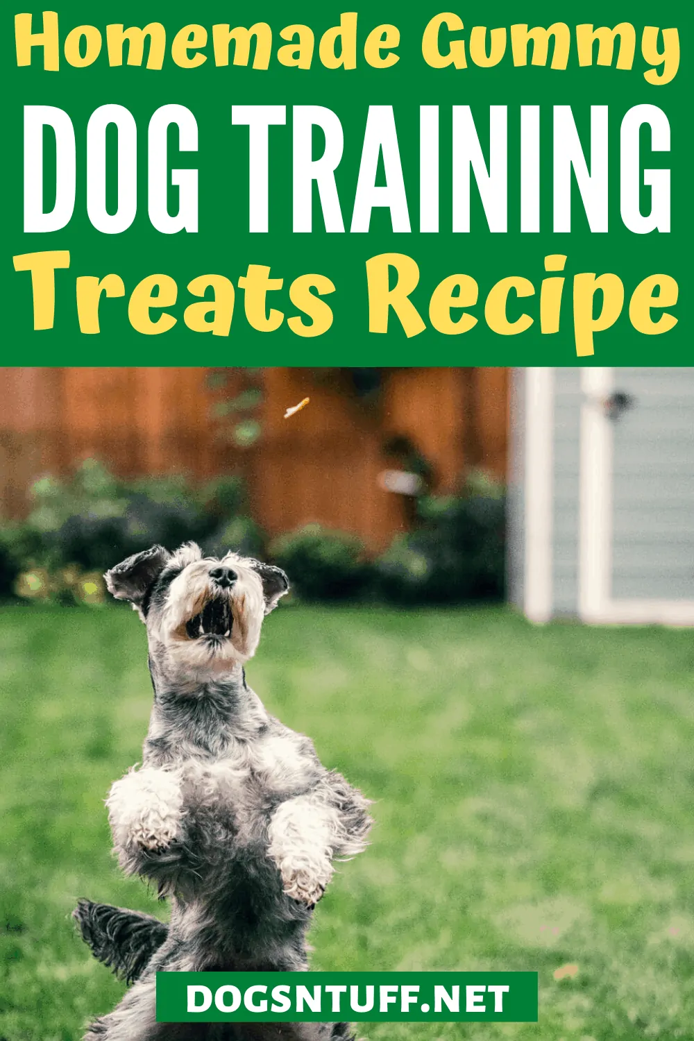 Homemade Tuna Gummy Dog Treats serving