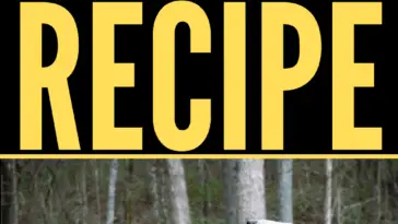 How to make DIY Dog Training Mini Treats?