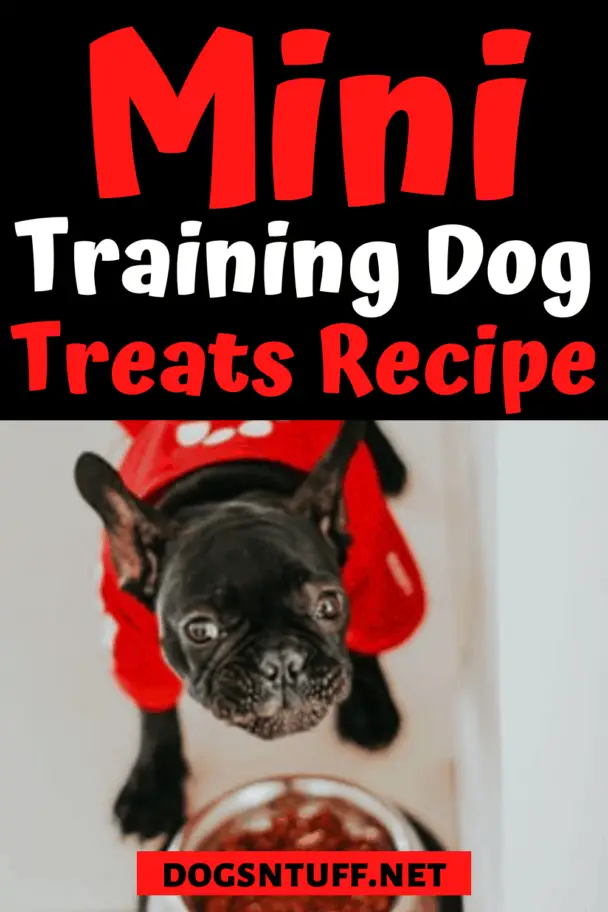 How To Make DIY Dog Training Mini Treats? Dogs 'N Stuff