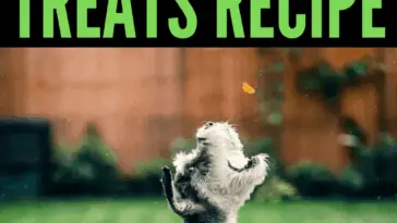 home made gummy dog training treats recipe