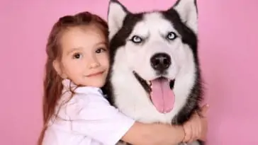 Are Huskies Good With Kids?