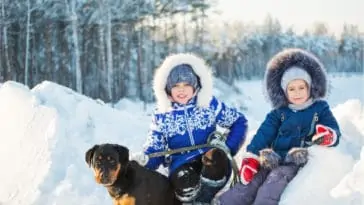 Are Rottweilers Good With Kids?