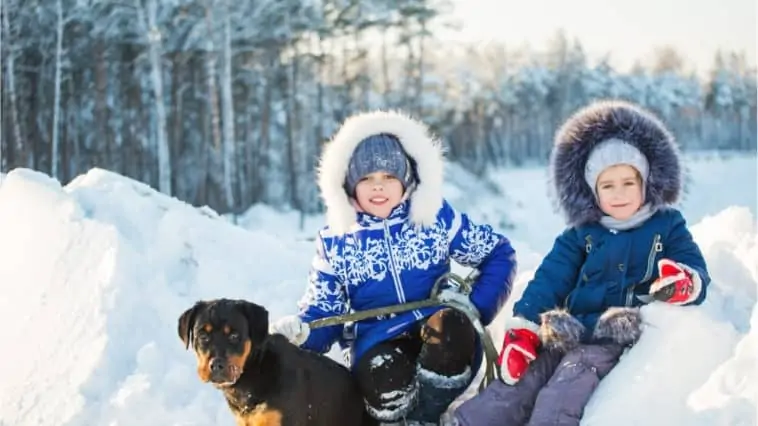 Are Rottweilers Good With Kids?