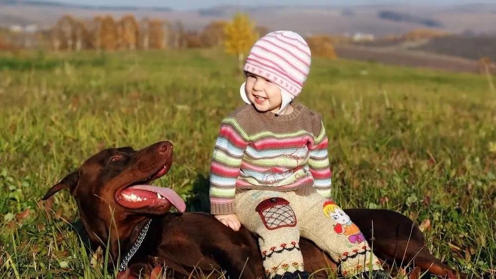 Are Dobermans Good With Kids? Dogs 'N Stuff