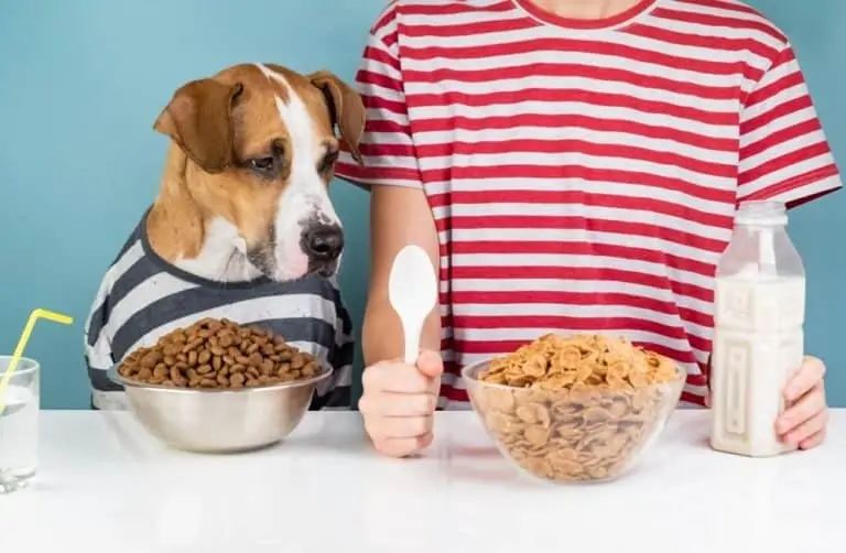 Can Dogs Eat Granola? Dogs 'N Stuff